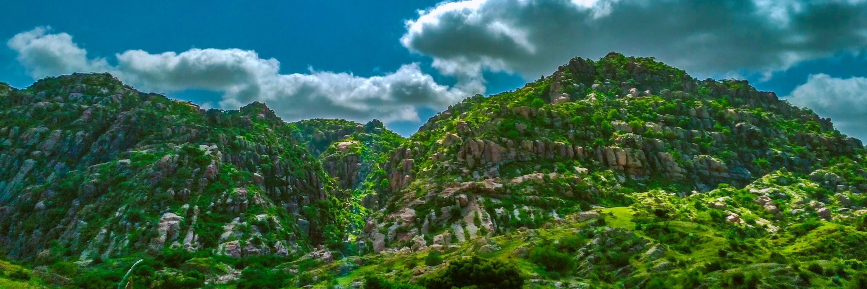 Wali Sario