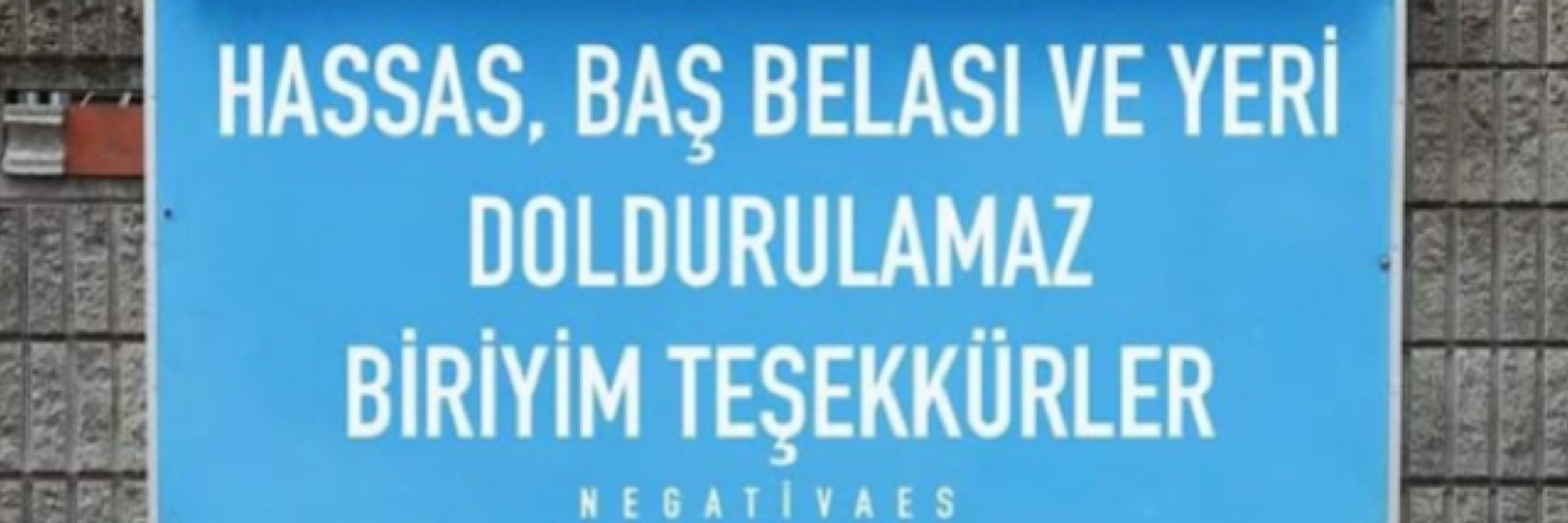 AlcinHatun