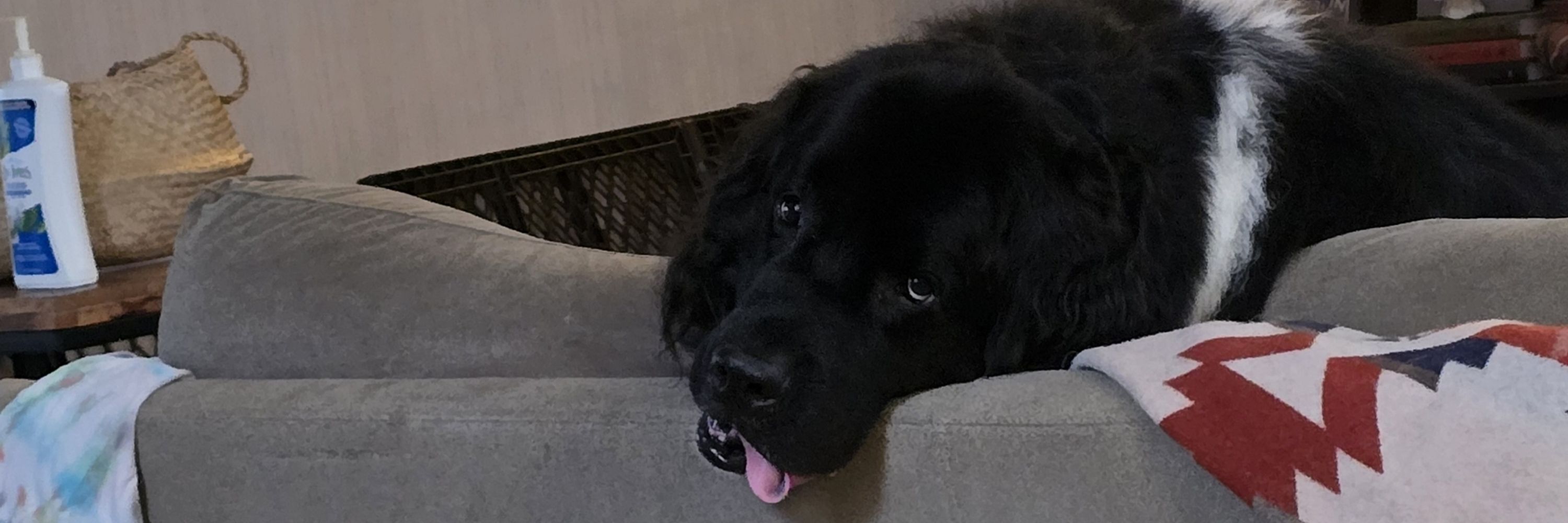 Daniel