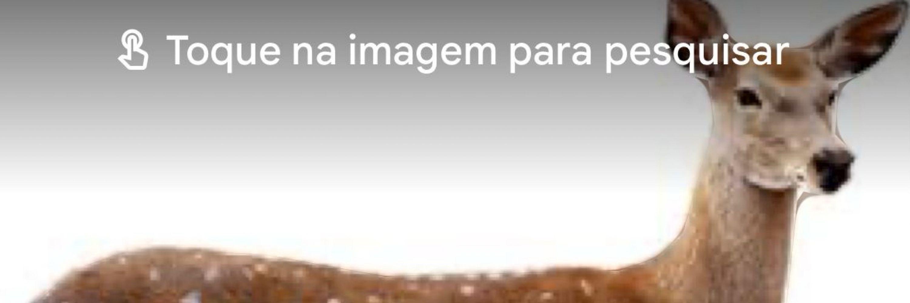 Pervertido🚫Proibido