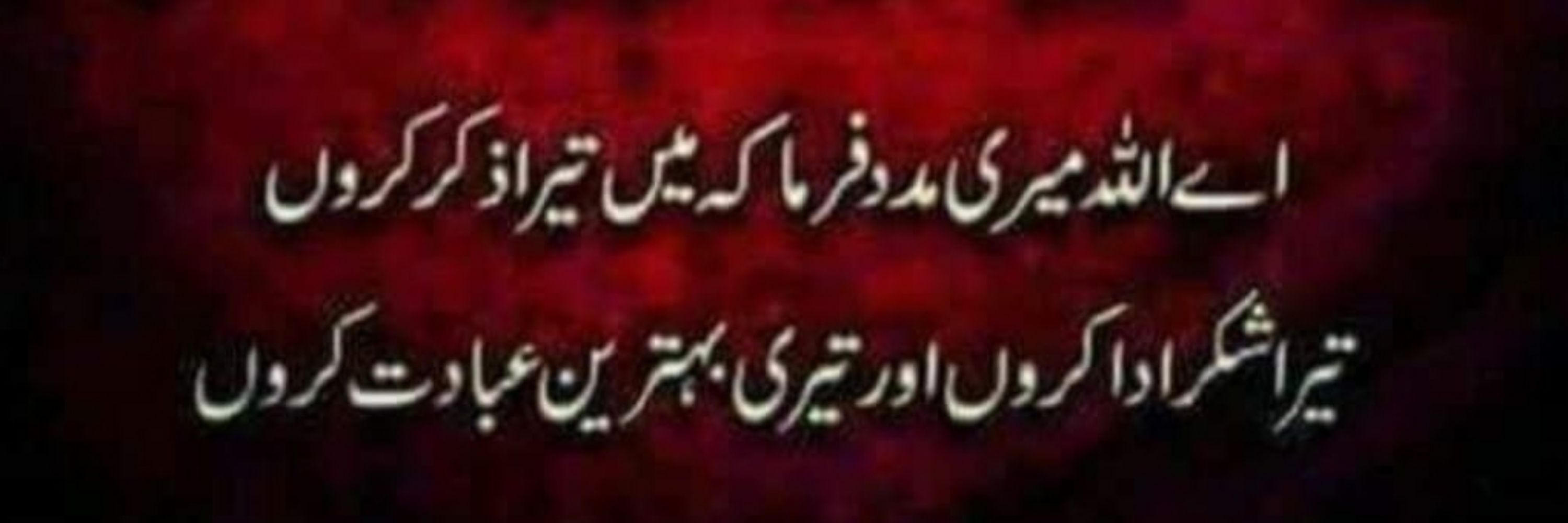 Muhammad Saleem