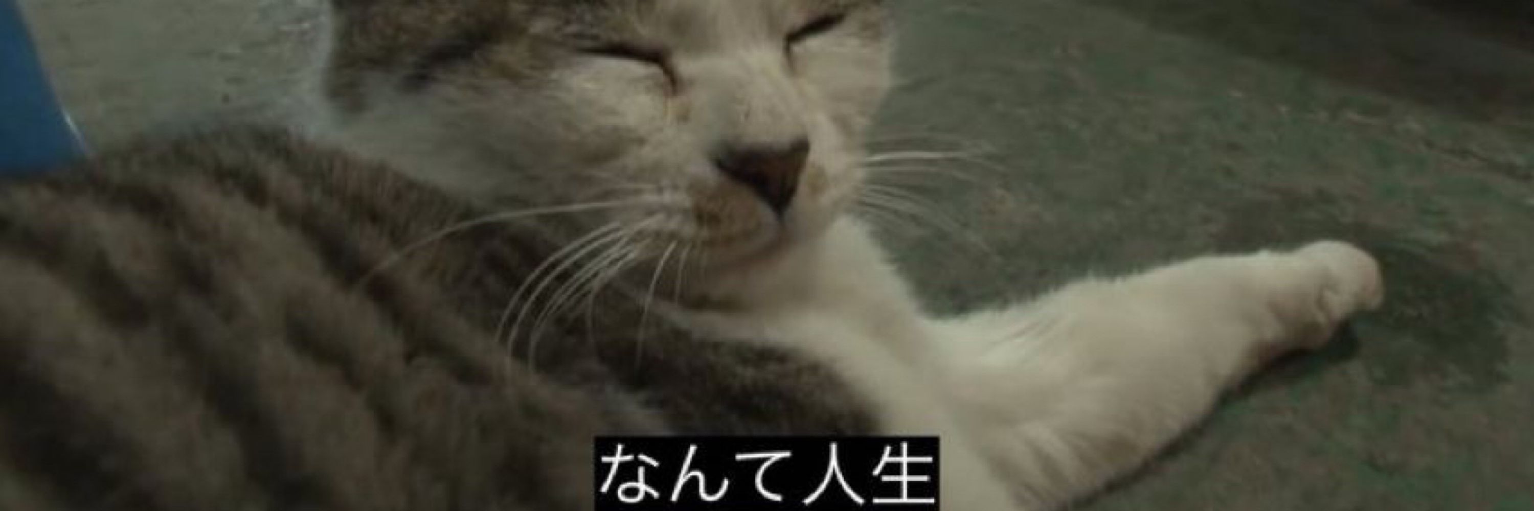 にわ