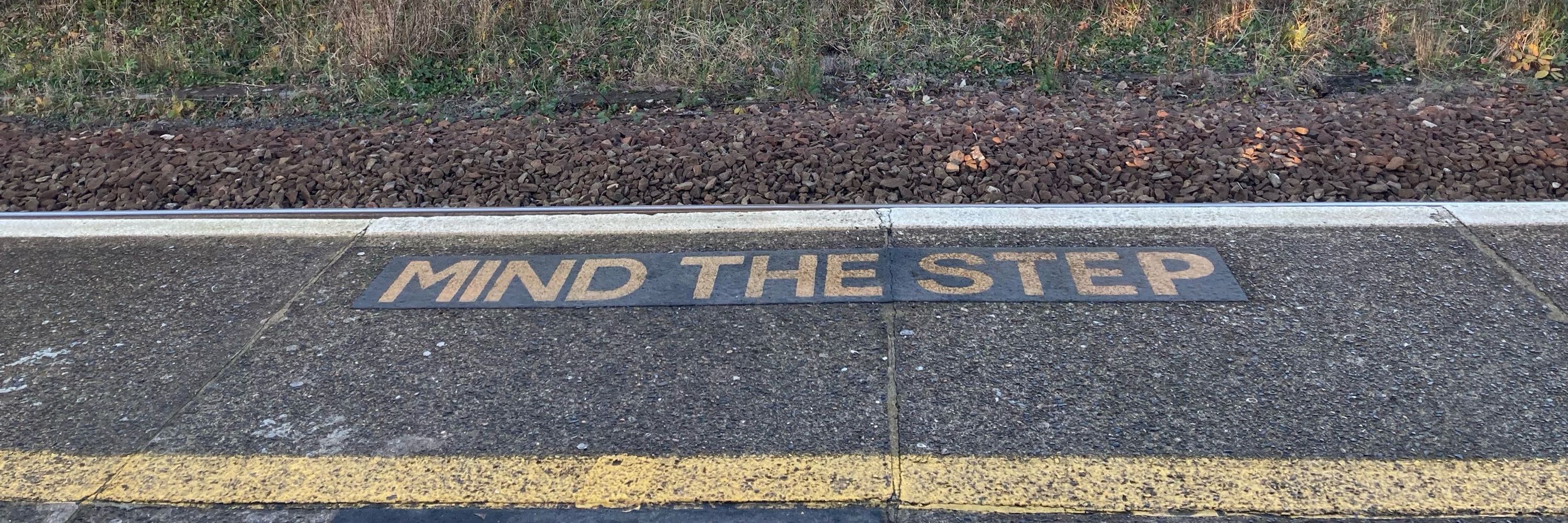 Of course, I’m no expert but…