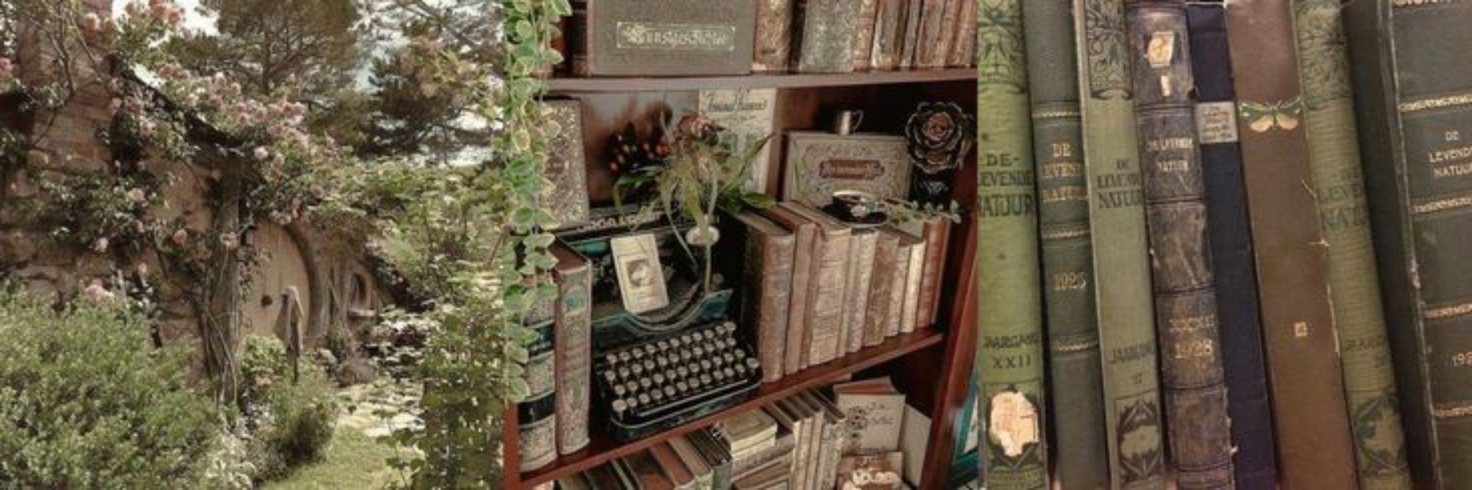 ָ࣪ ۰Maduh 📖៹