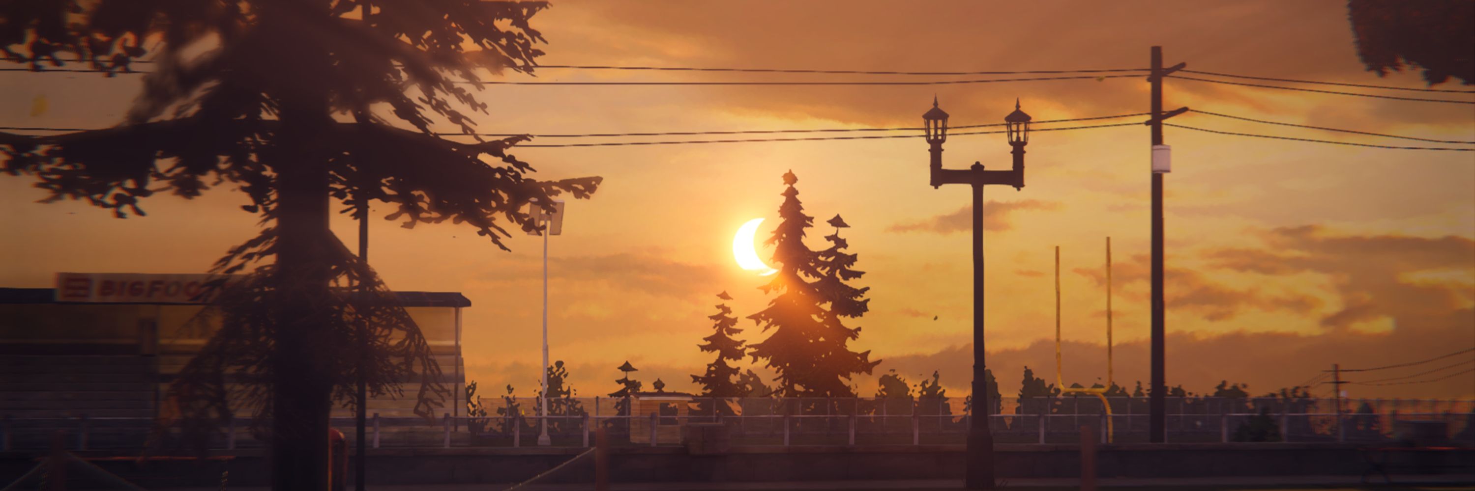 Vista