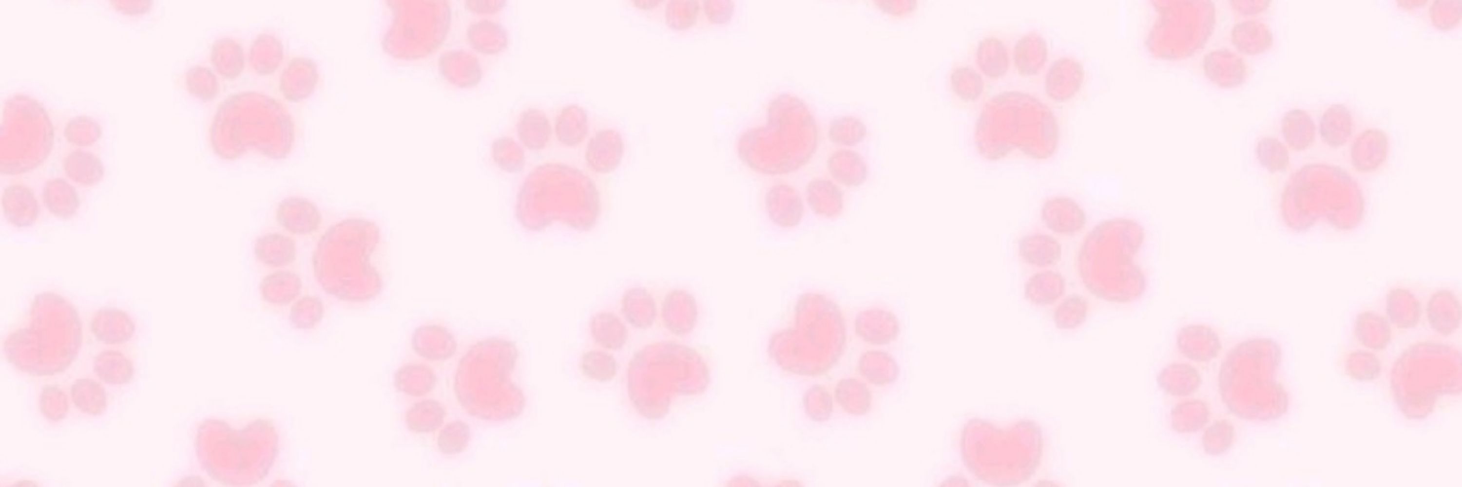⊹ ࣪ ᡣ𐭩ᴘɪɴᴋɪᶻ 𝗓 𐰁𖹭