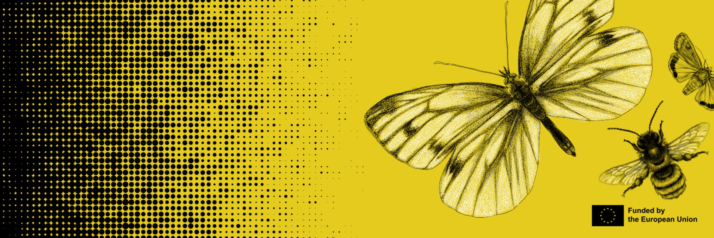 PollinERA Project