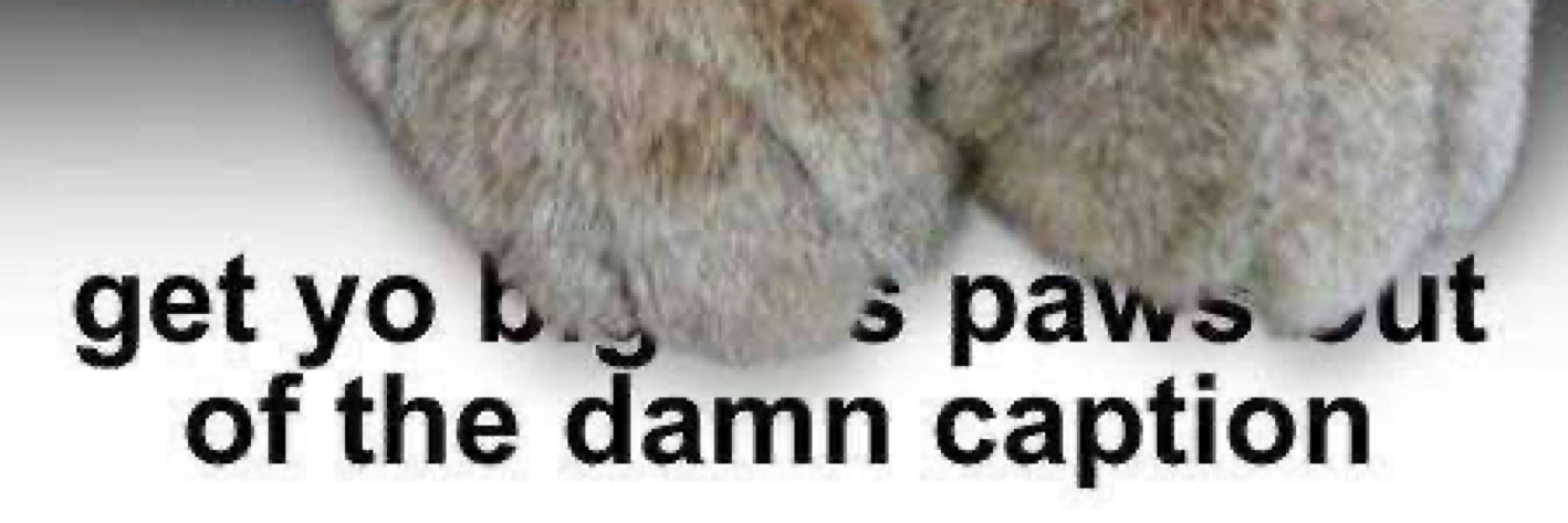 TuftLuckLynx