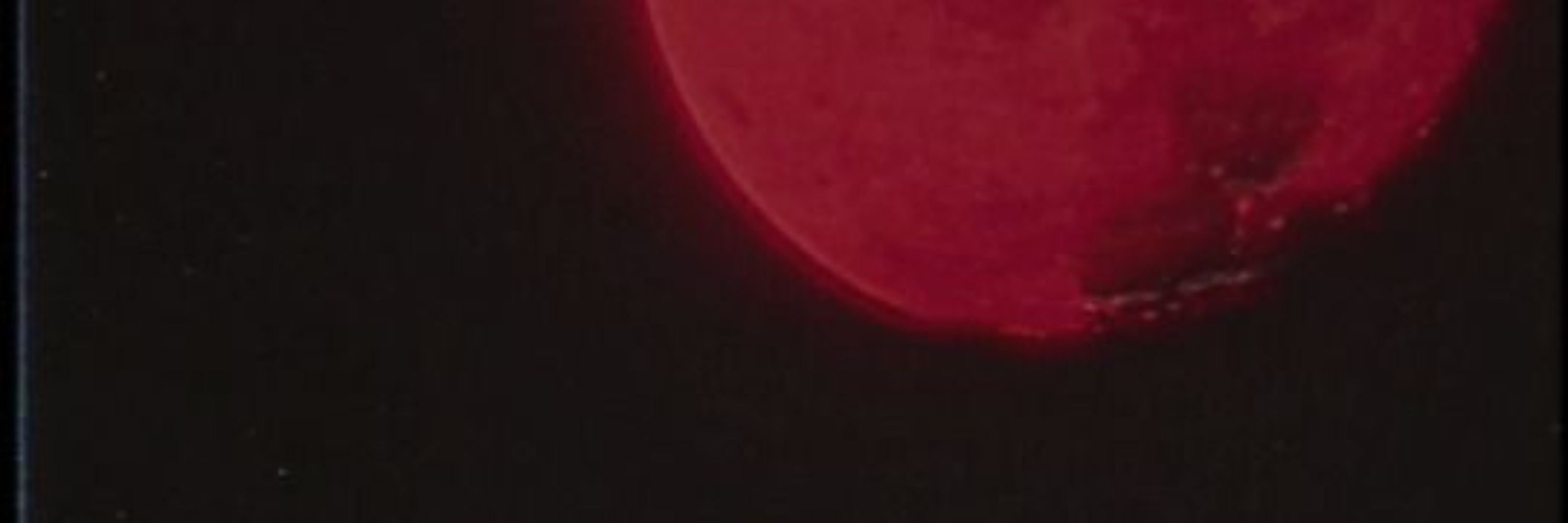 𝑨𝑬𝒁𝑹𝑬𝑳𝑳𝑬