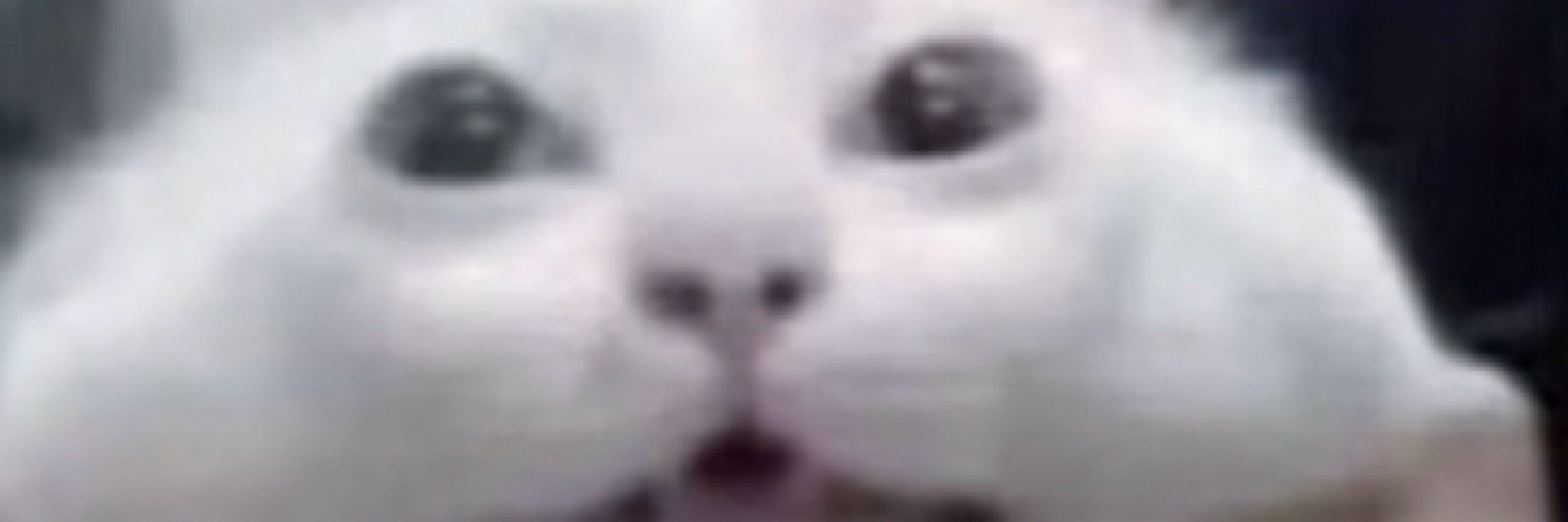 Coko