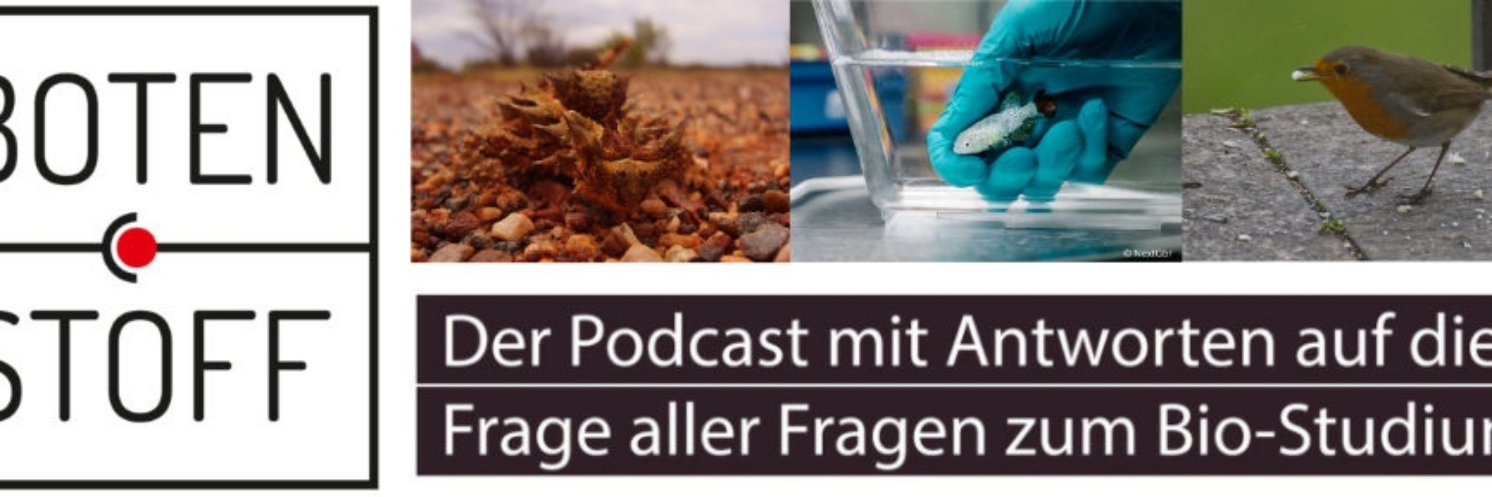 Botenstoff-Podcast