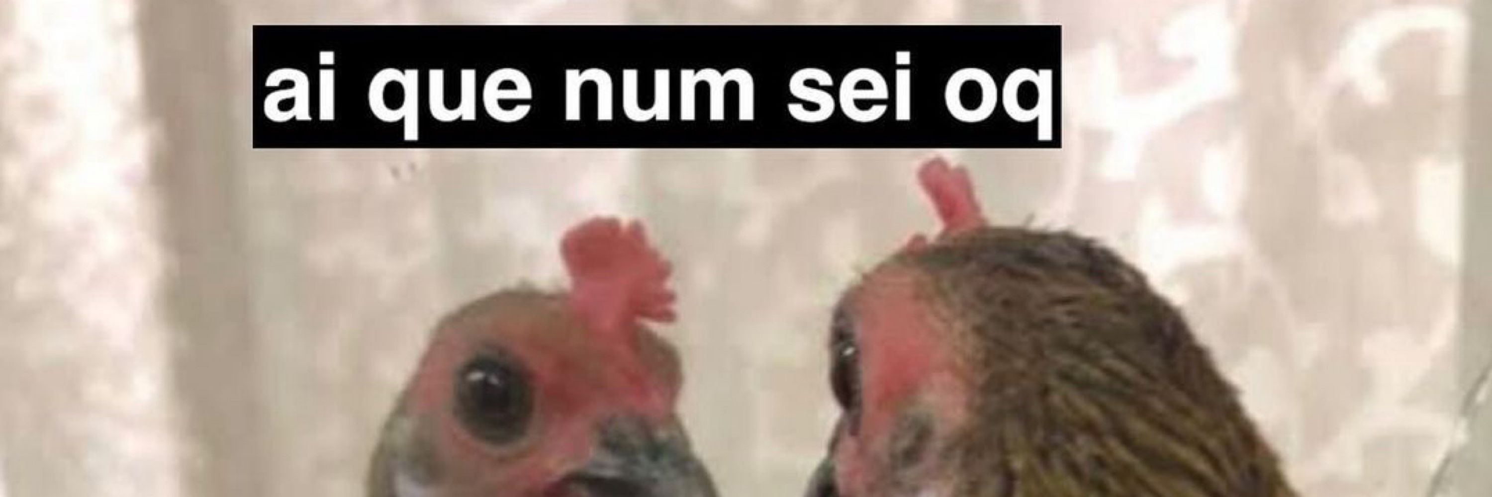 guta