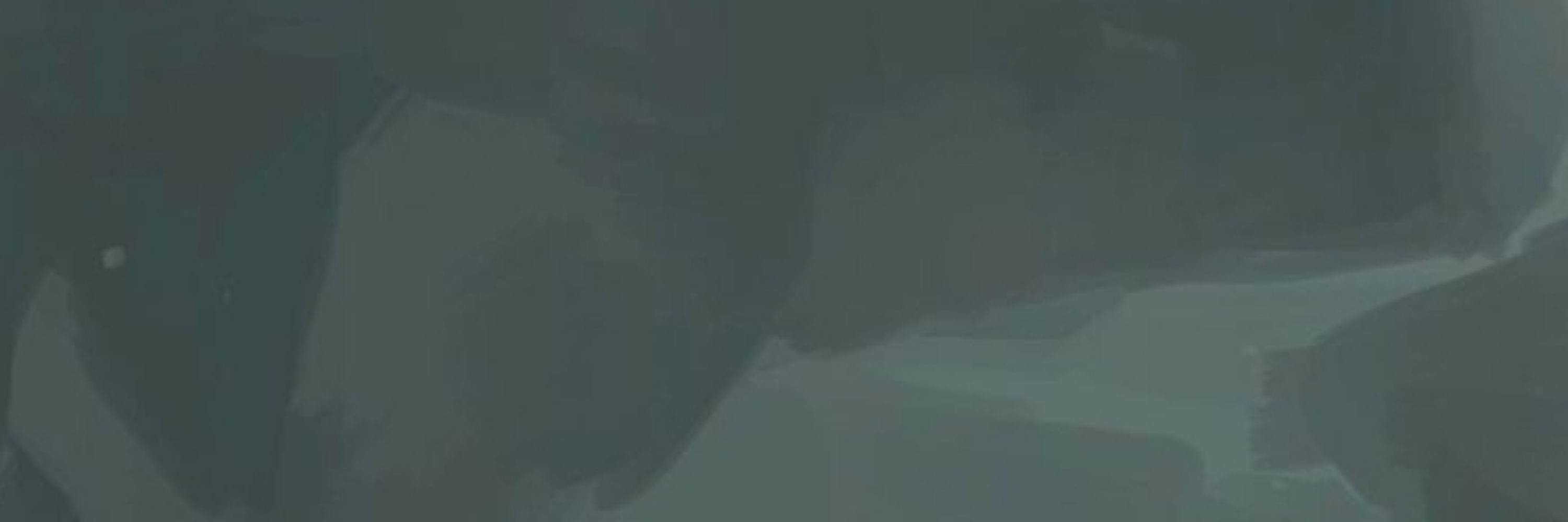 zyon