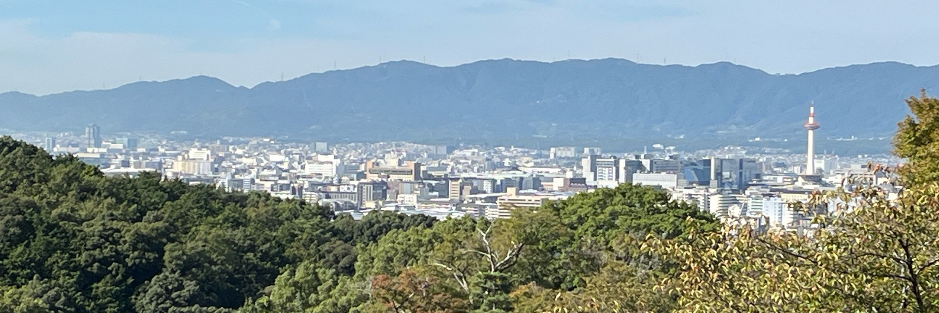 饅頭