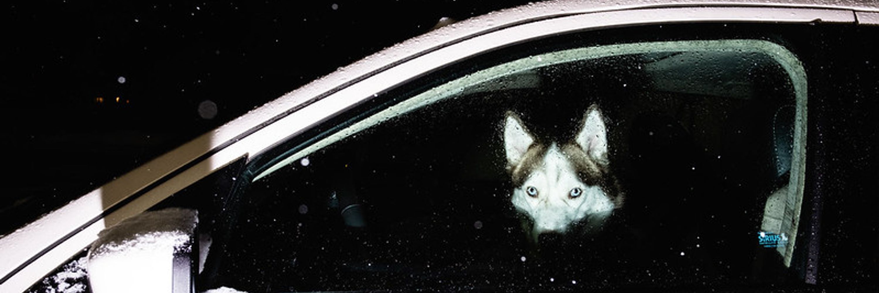 Gavin Bragdon