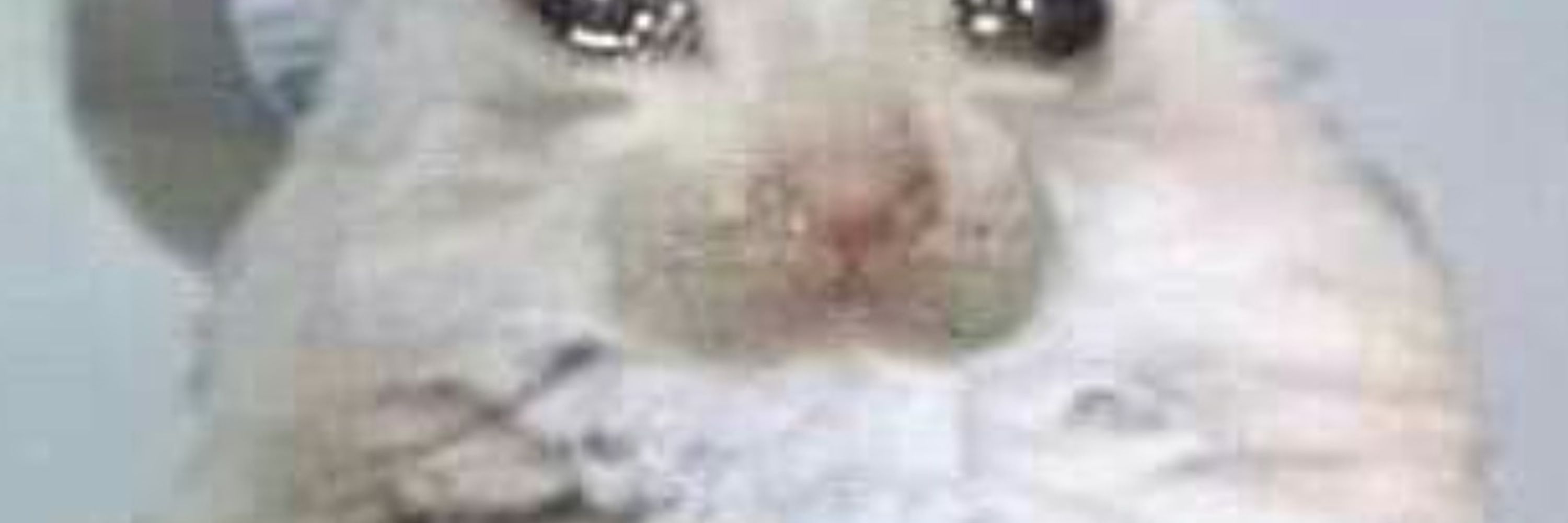 EvanHRose