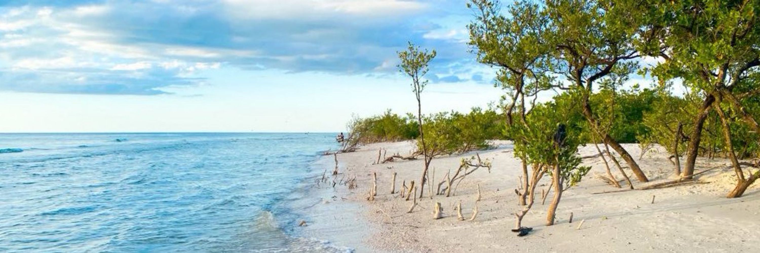 BeachedInFLA