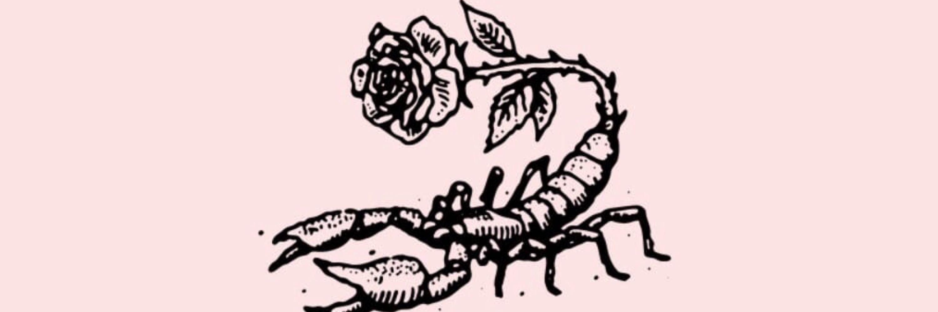 ~ ᵐⁱ ❤️‍🔥🦂🏳️‍🌈