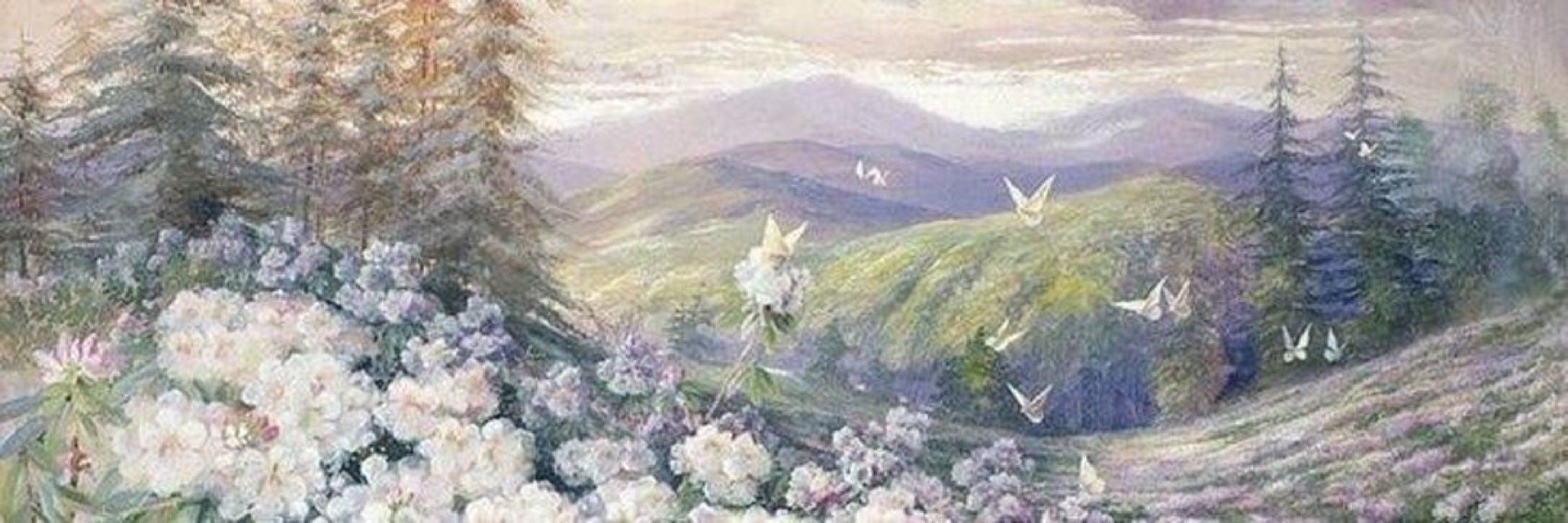 Merethe Soltvedt