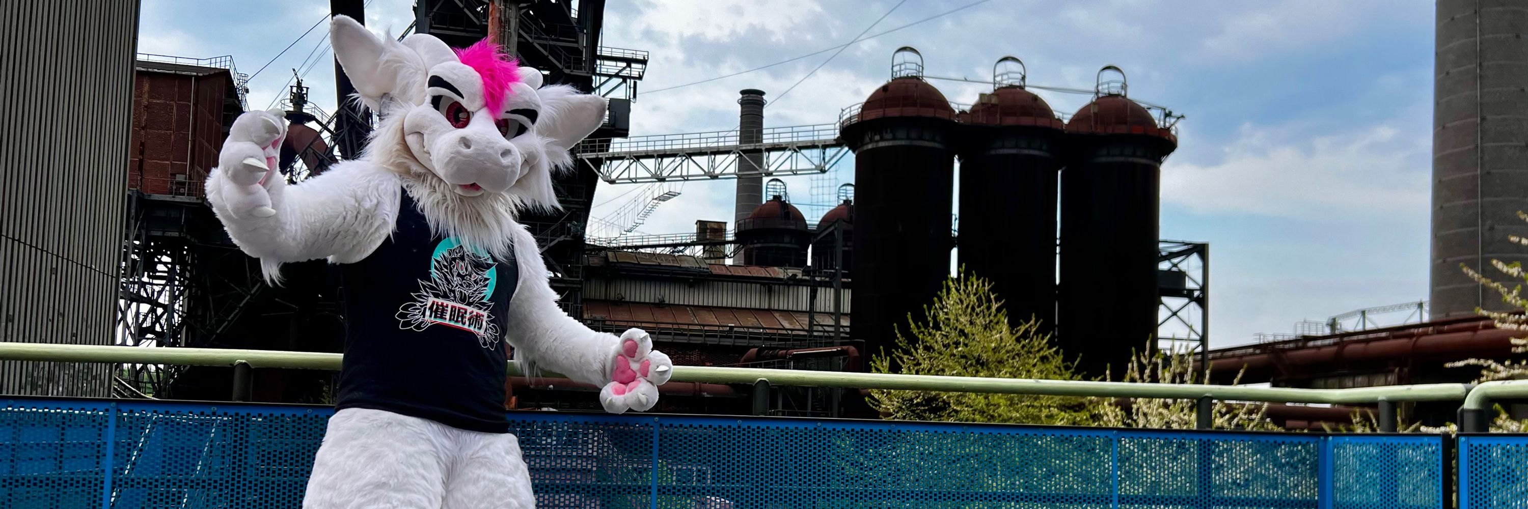 CEO of fluffdragons