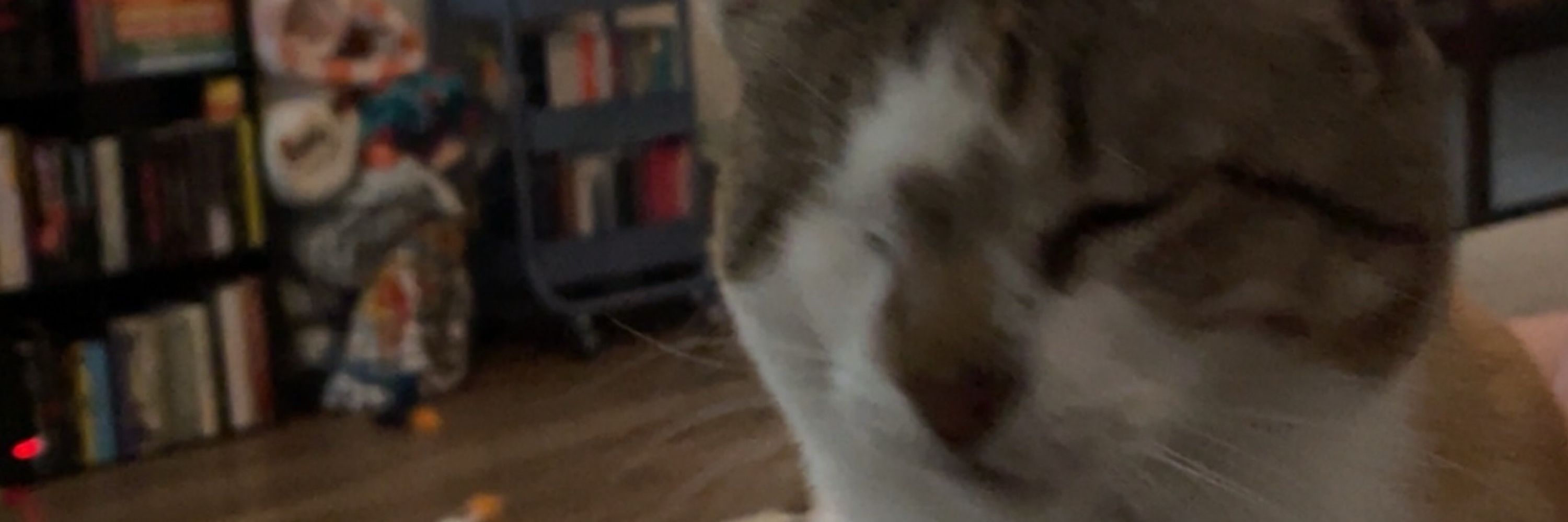 Quinn