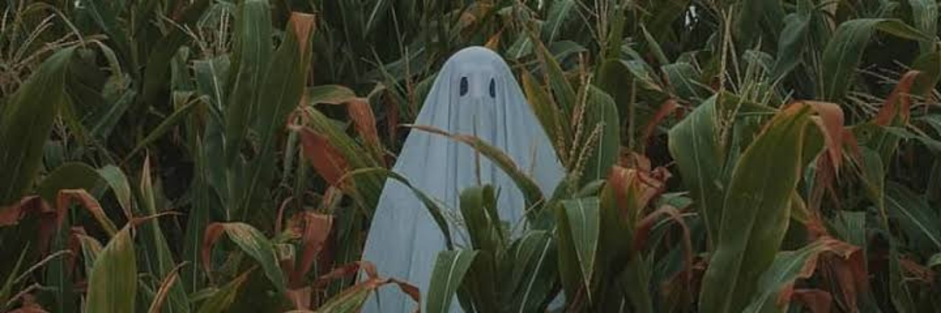 Lonely Ghost