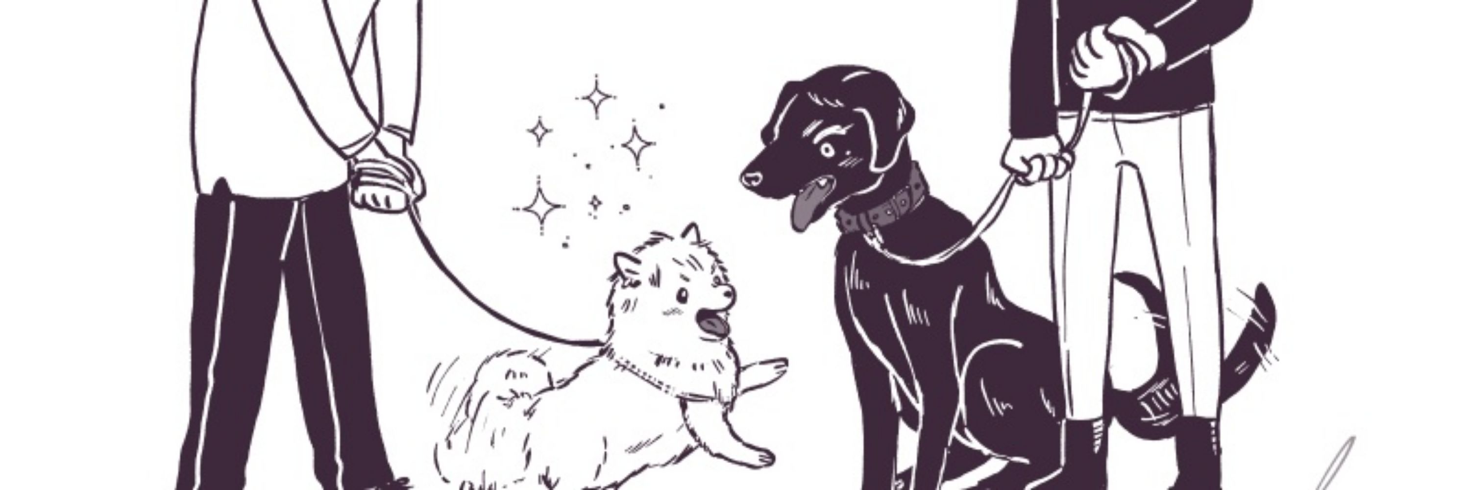 くけこ