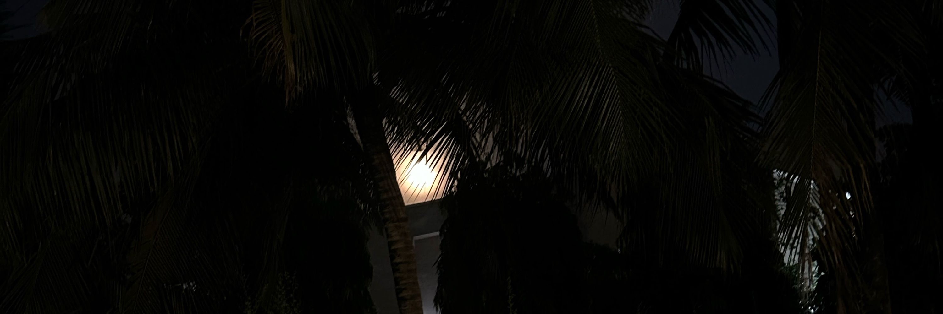 Zix 🌙