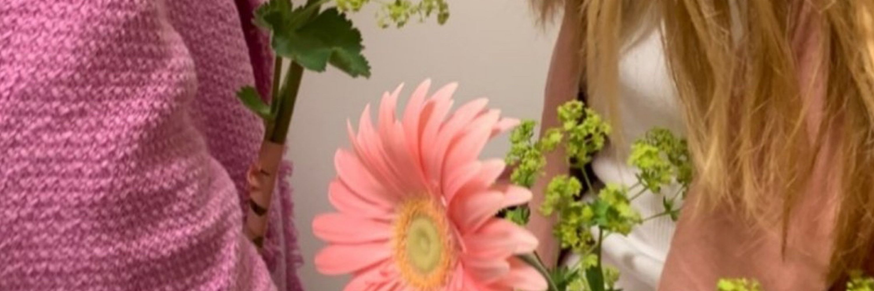 anaju de lioncourt