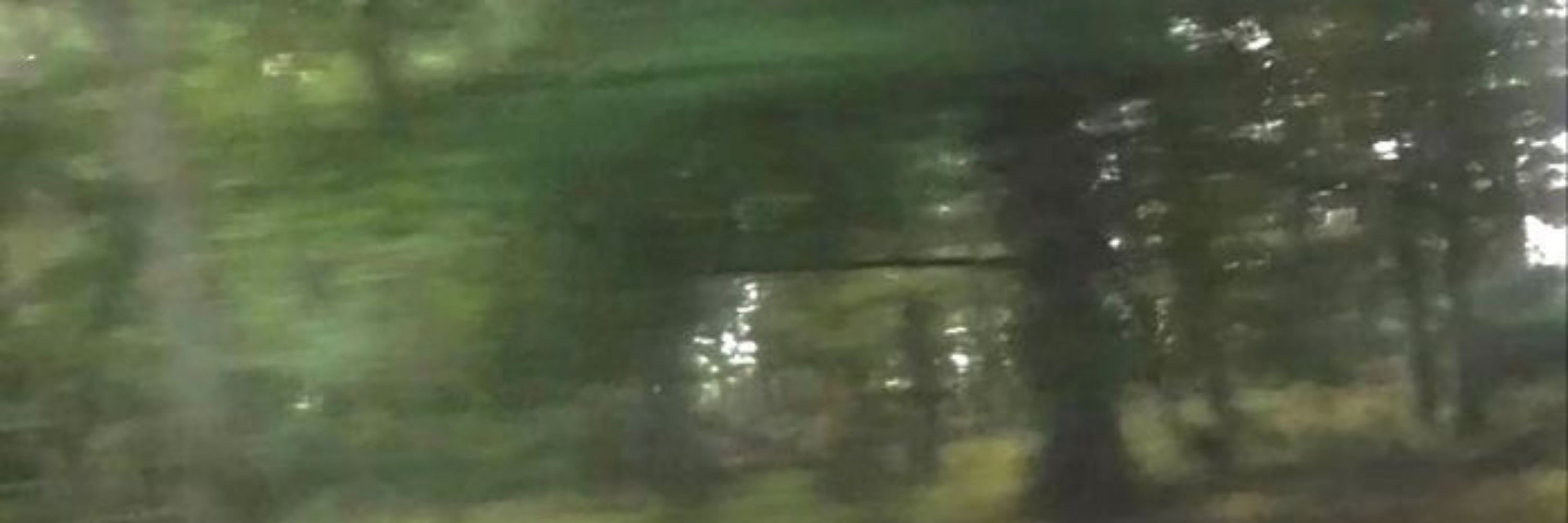 표화