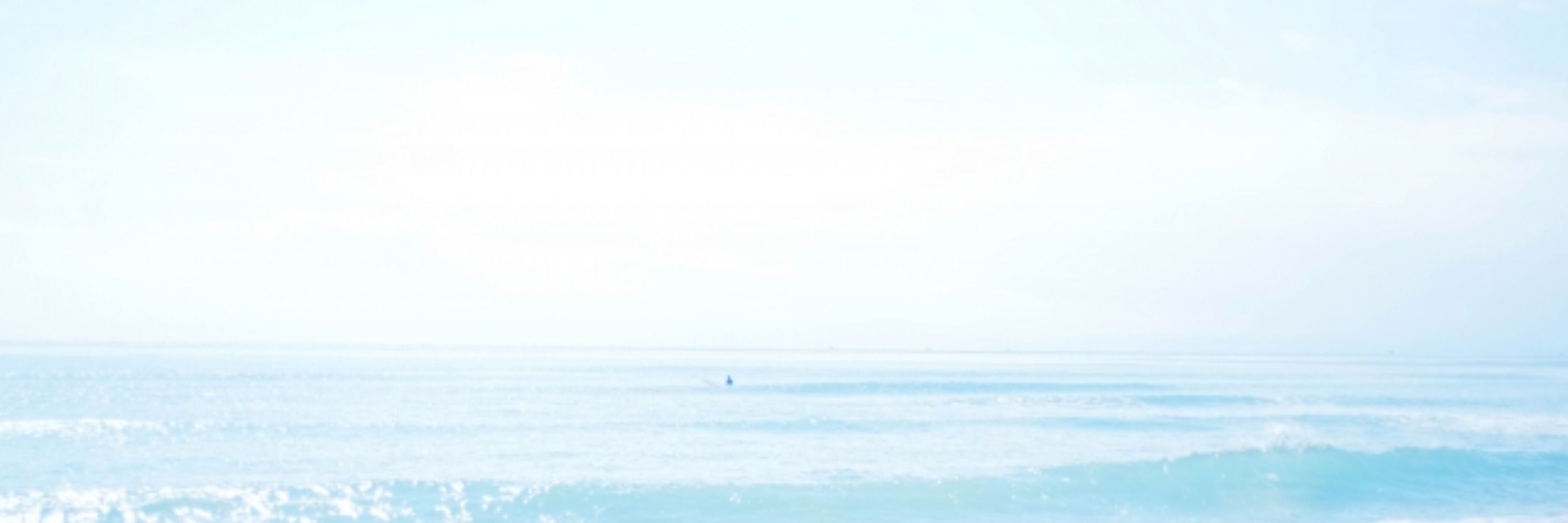 有海