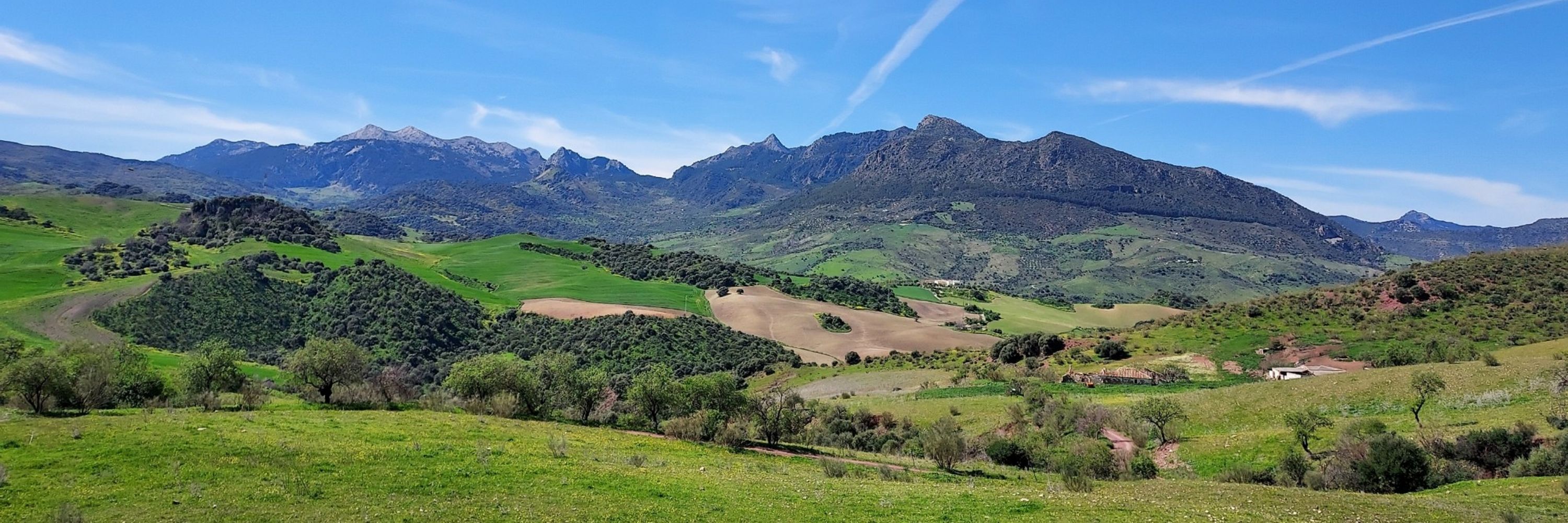 Trail Andalú Embrutesío