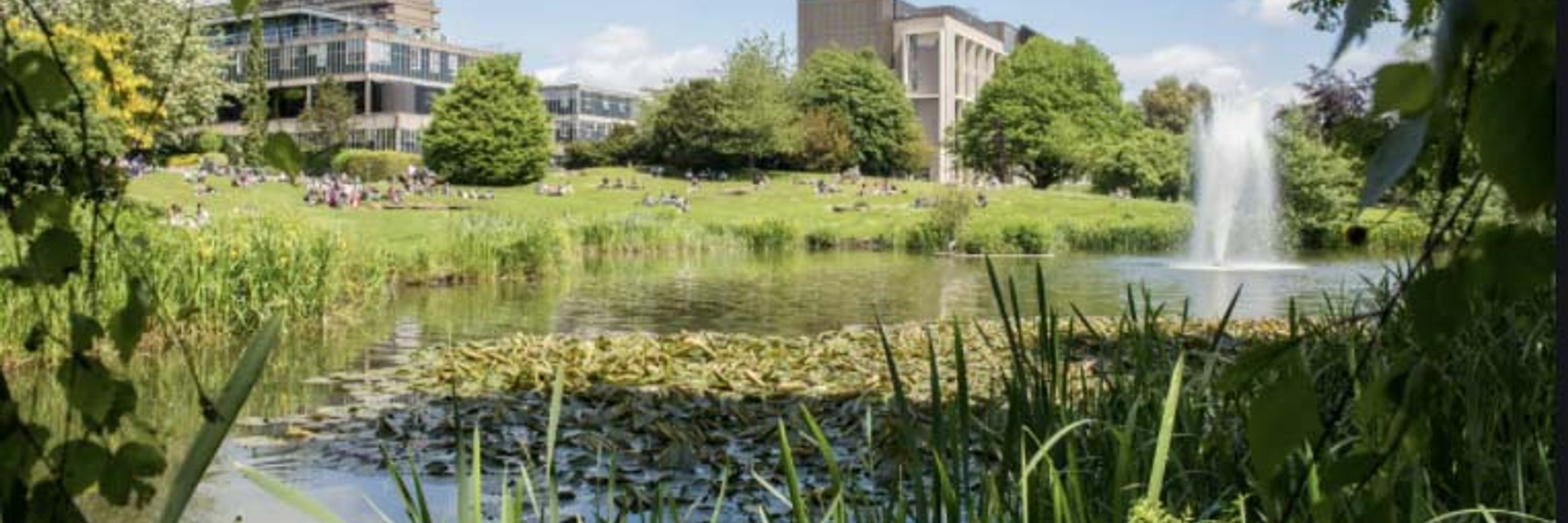 Department of Education at Bath