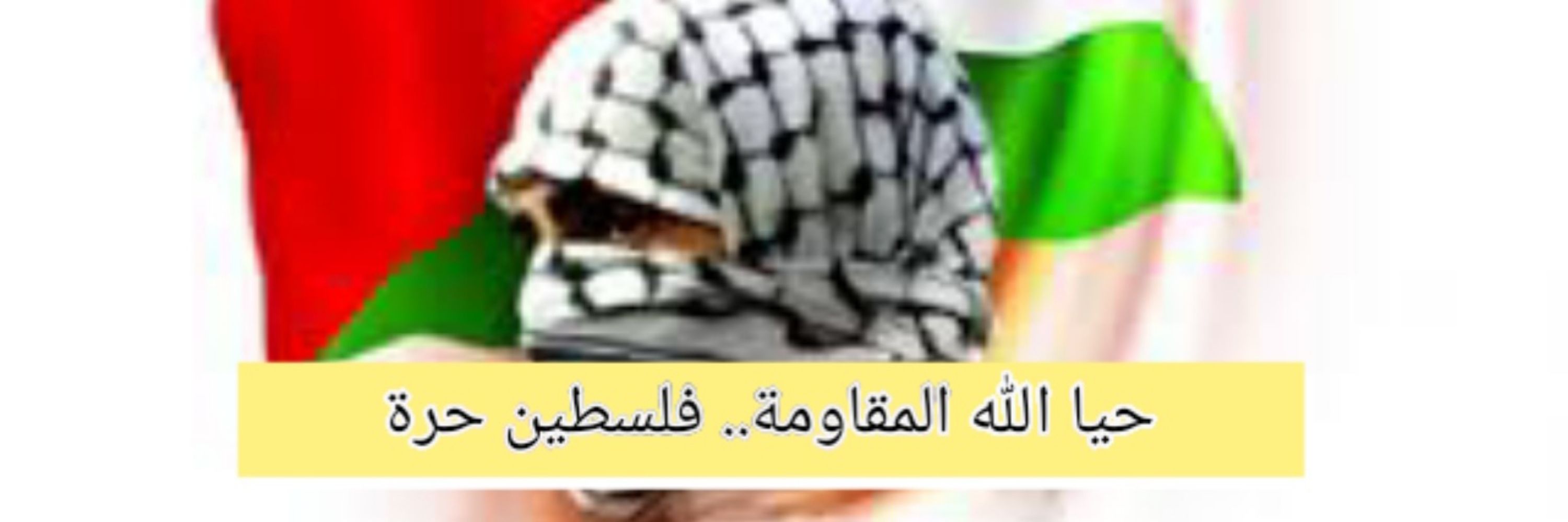 Mostafa Abdellateef
