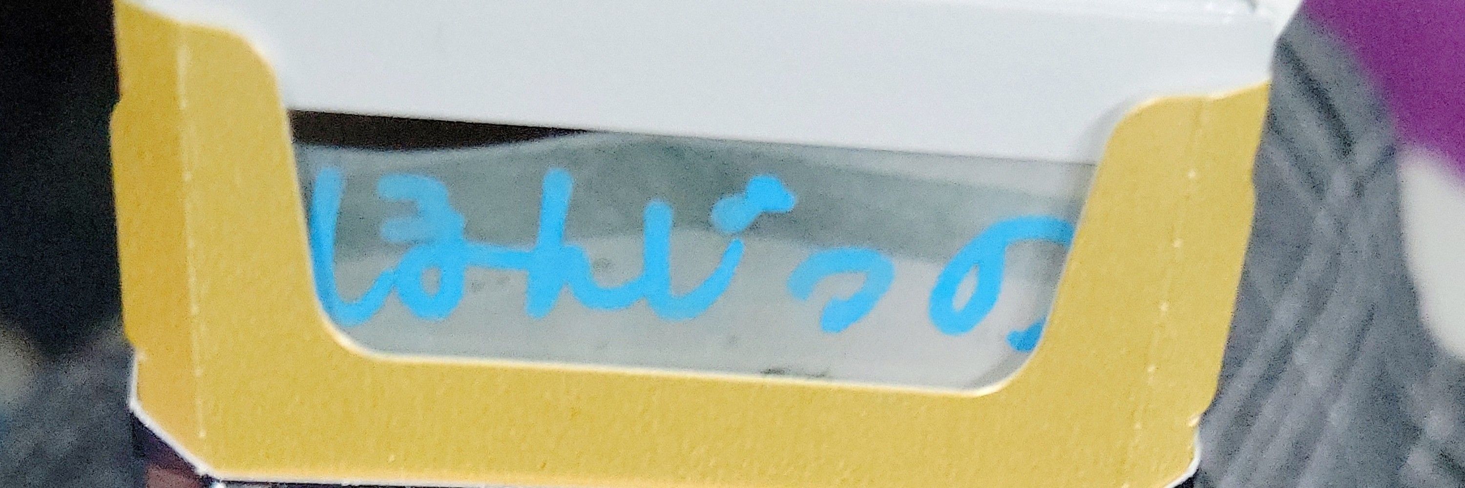 ちぃ