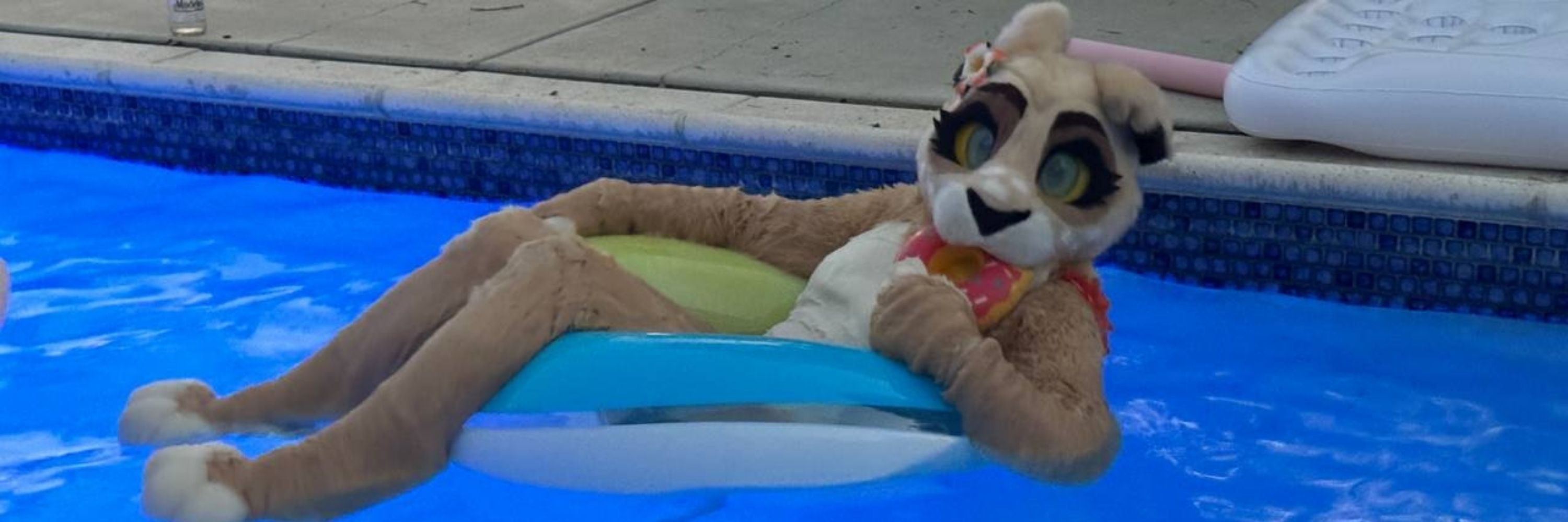 Honey the Swimming Lioness