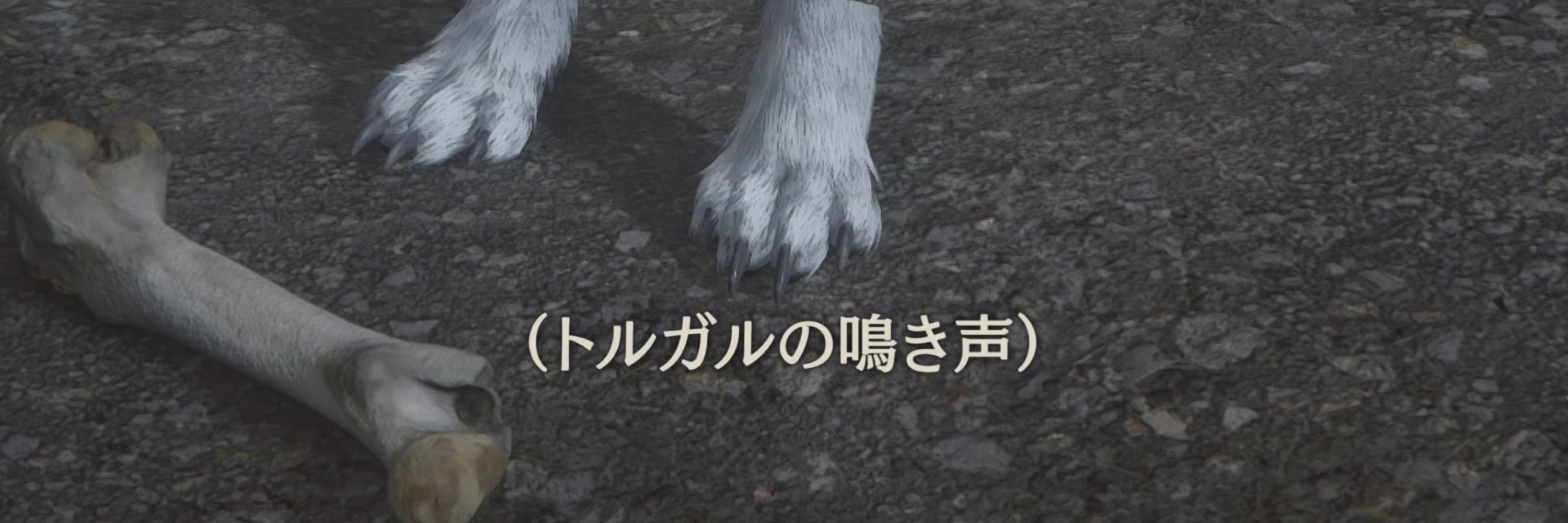 めるぞ〜🐏