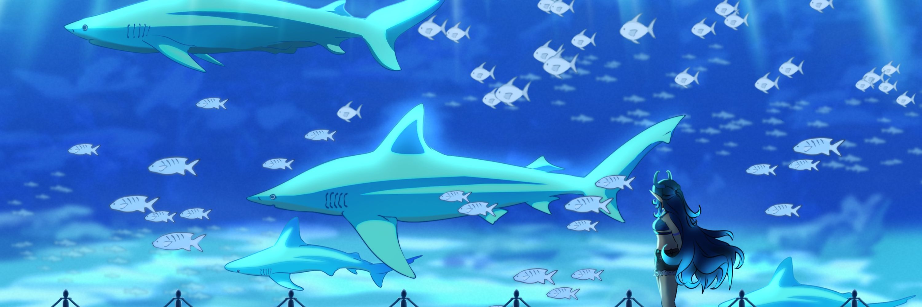 🌊Minnow Shark🌊