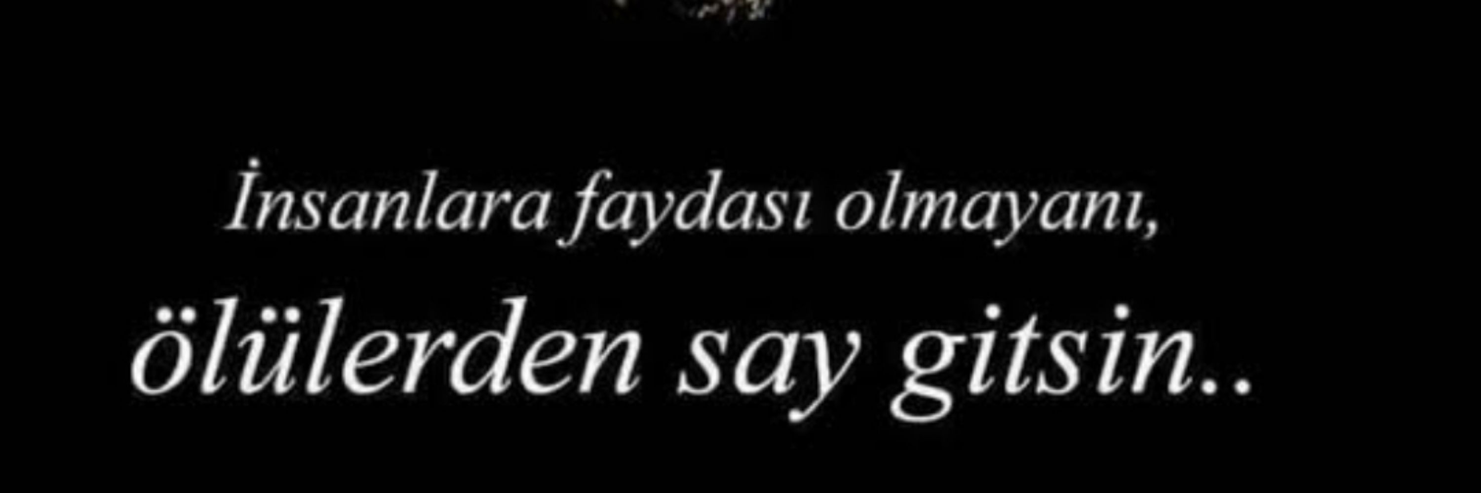 Havadis