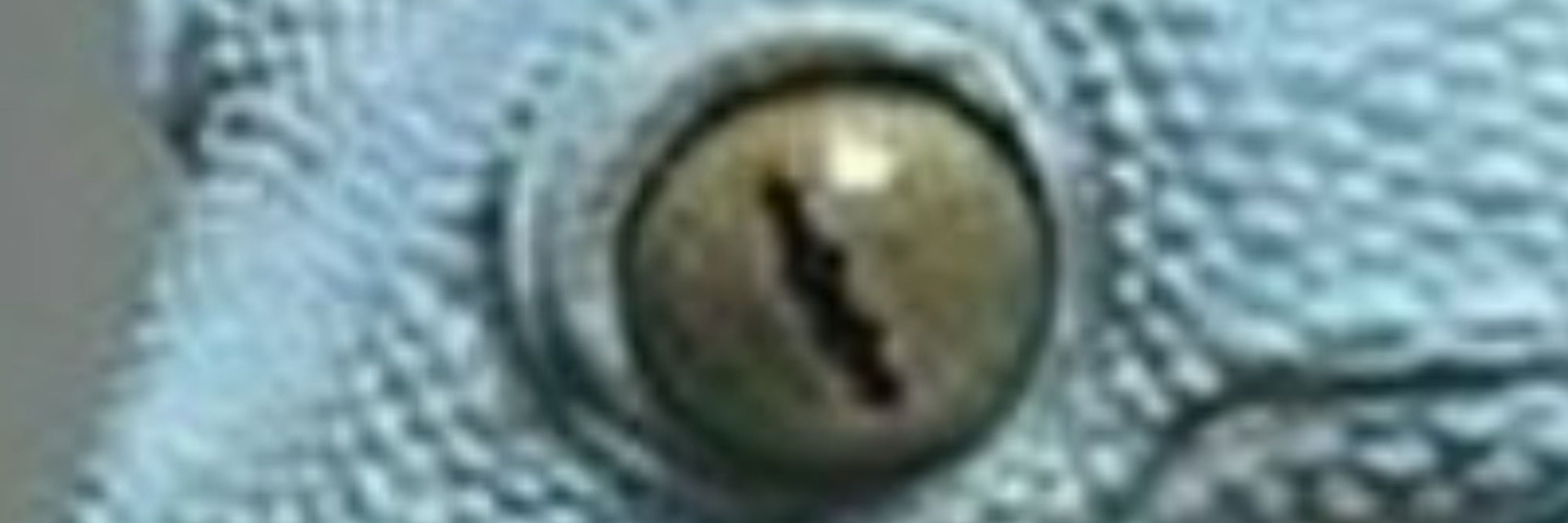 BLynx