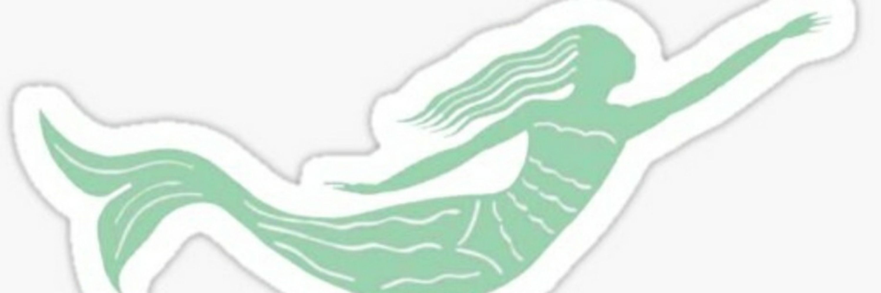 South Hampton Roads Indivisible