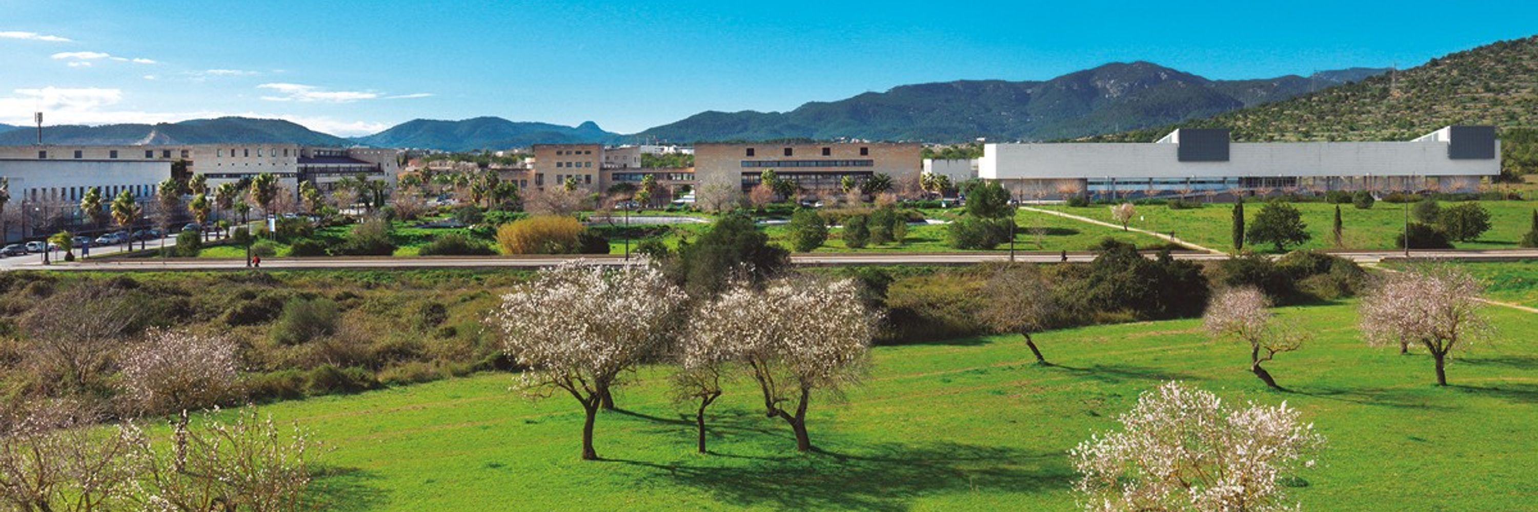 MATER UIB