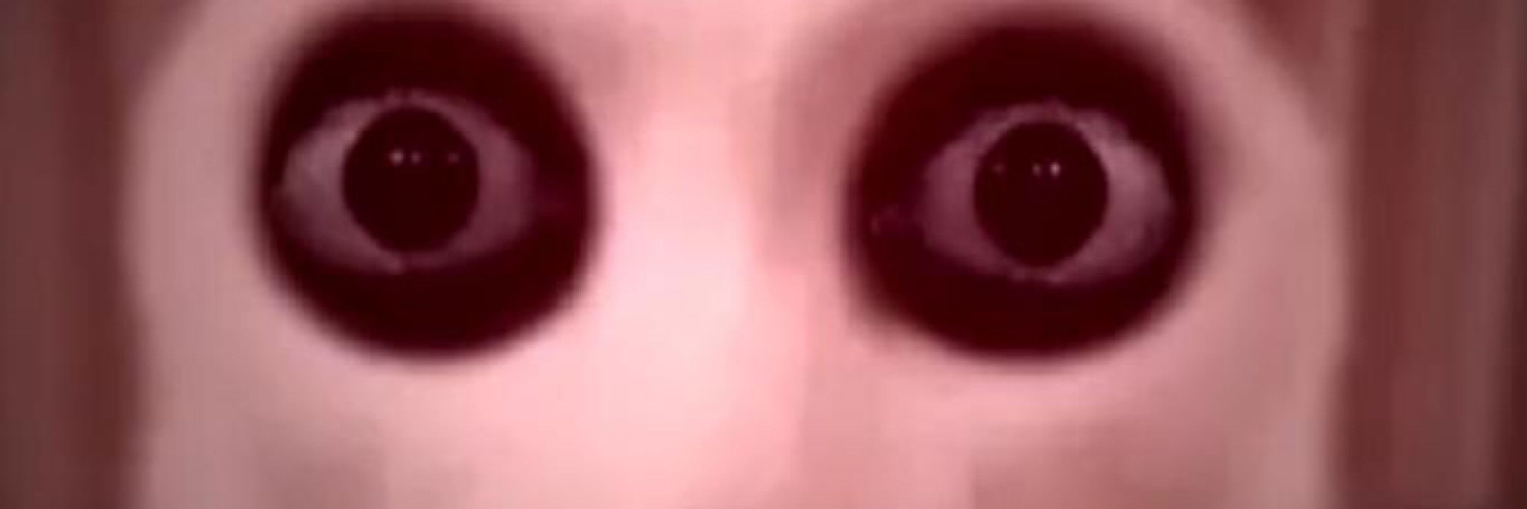 エゴネコ