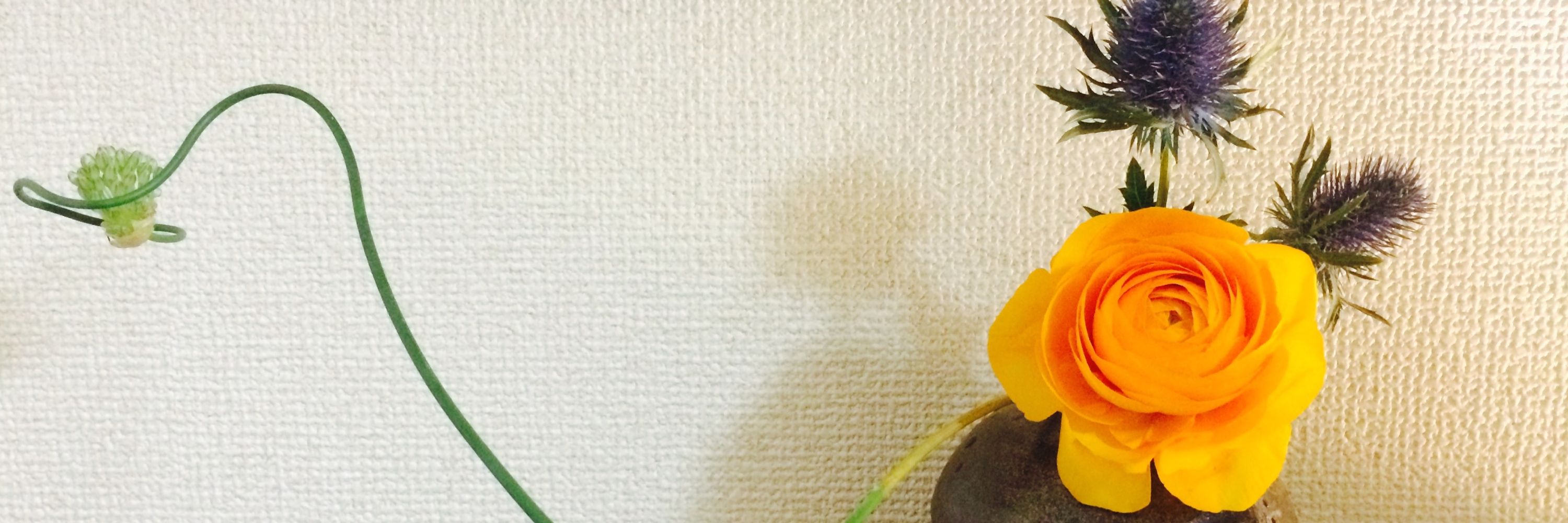 ウニ