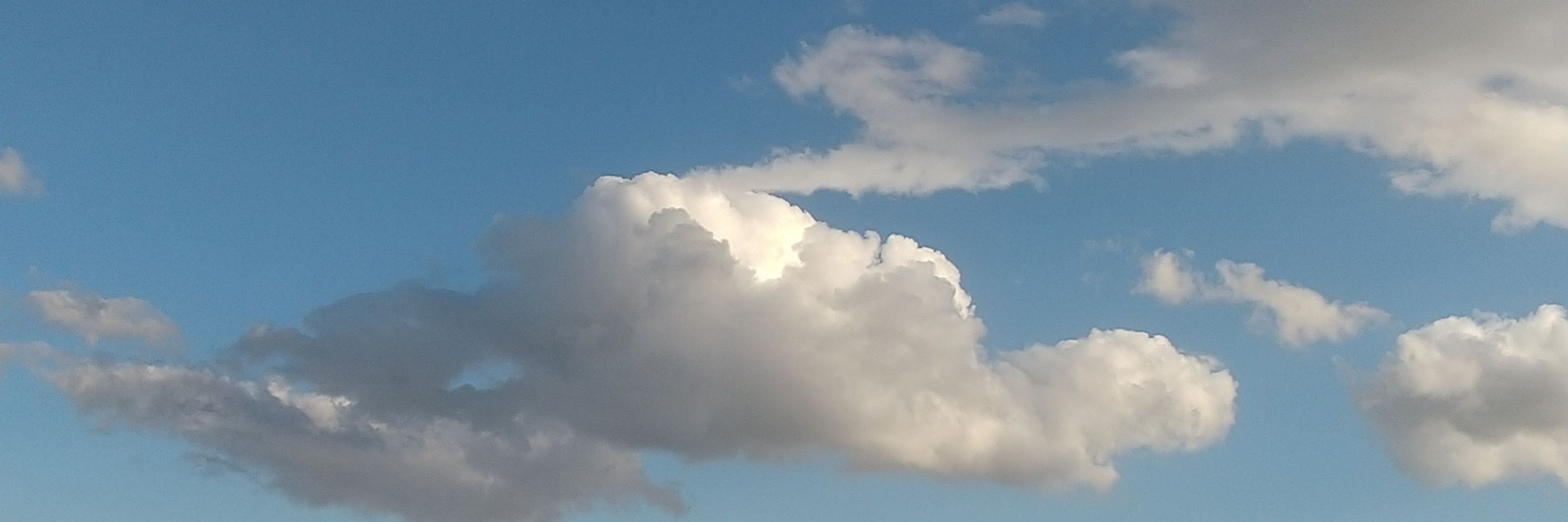 ちょびNo.2561396