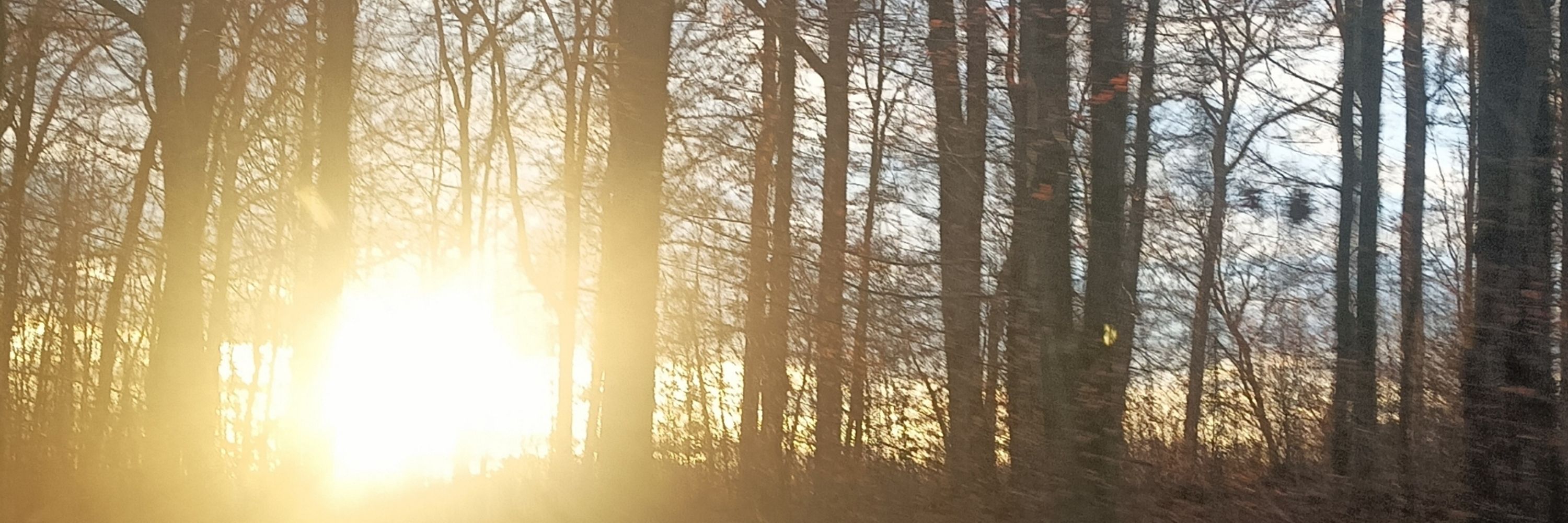 Moheimelchen