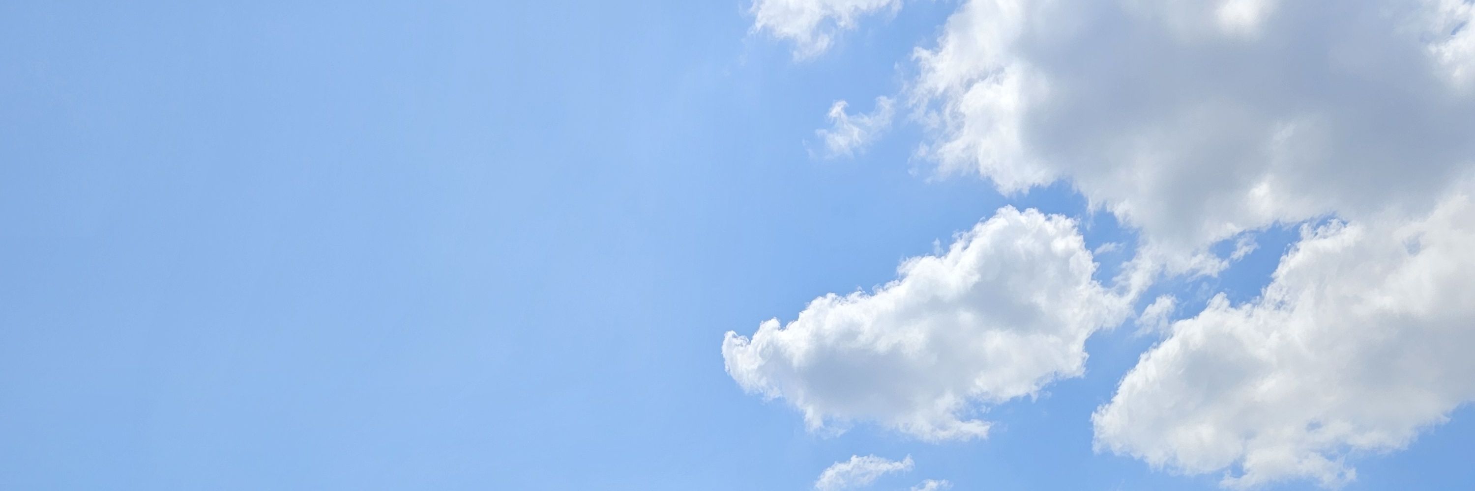 운운☁️