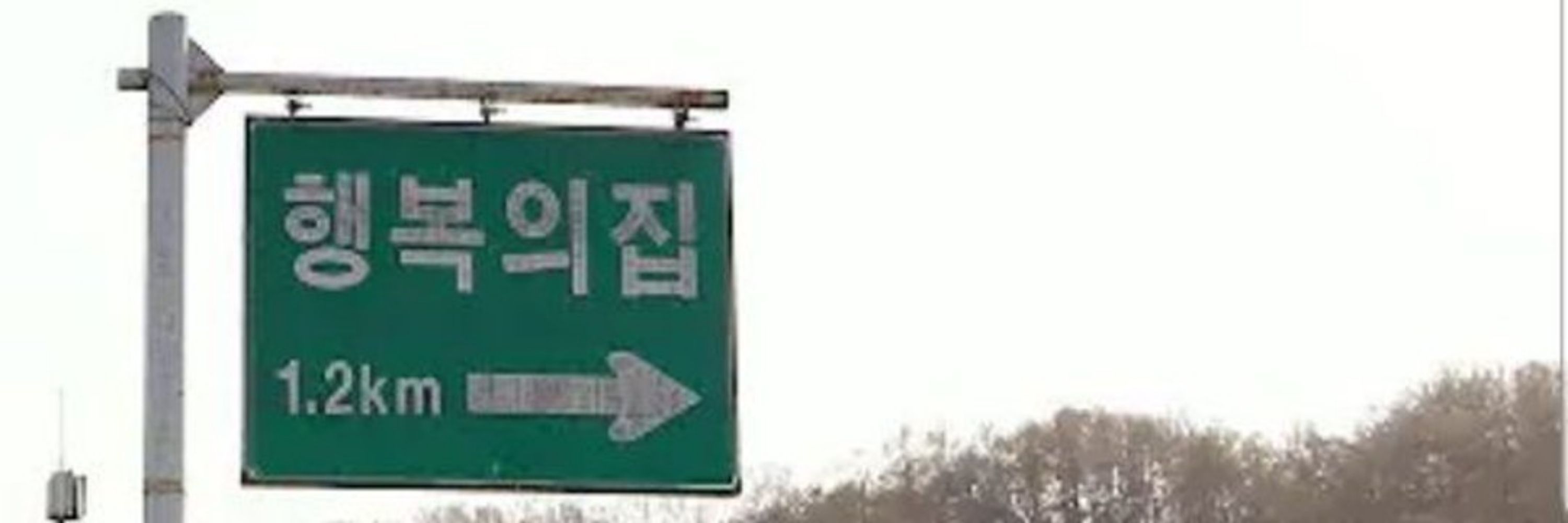 유희