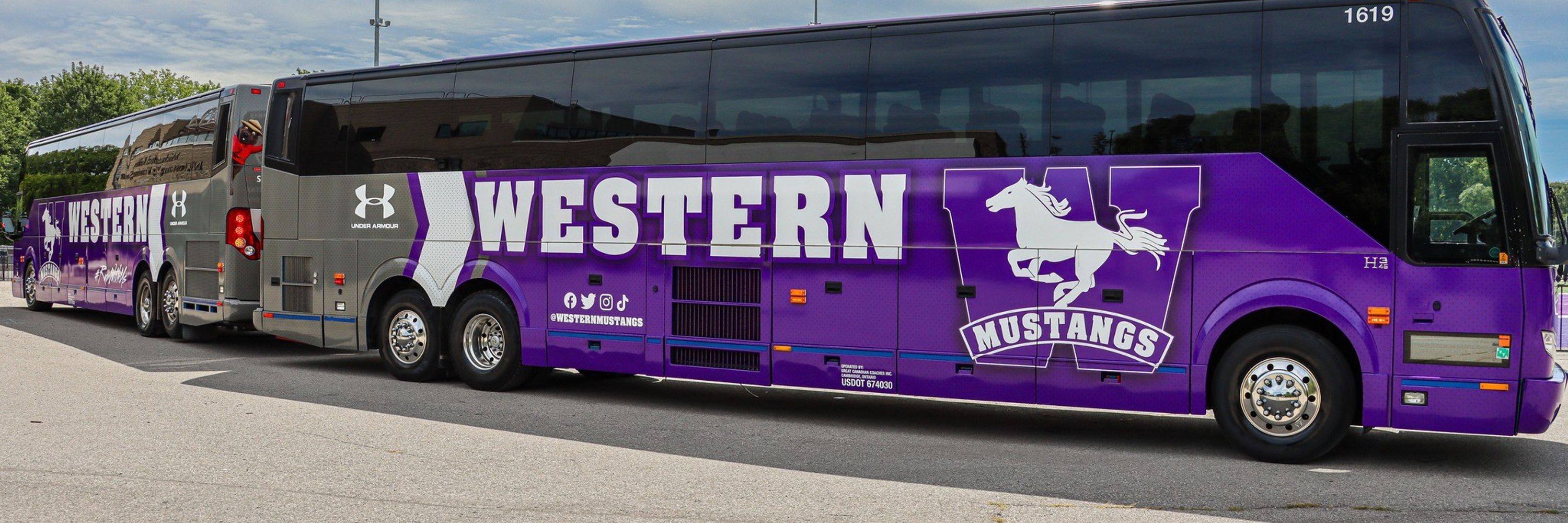 Western Mustangs