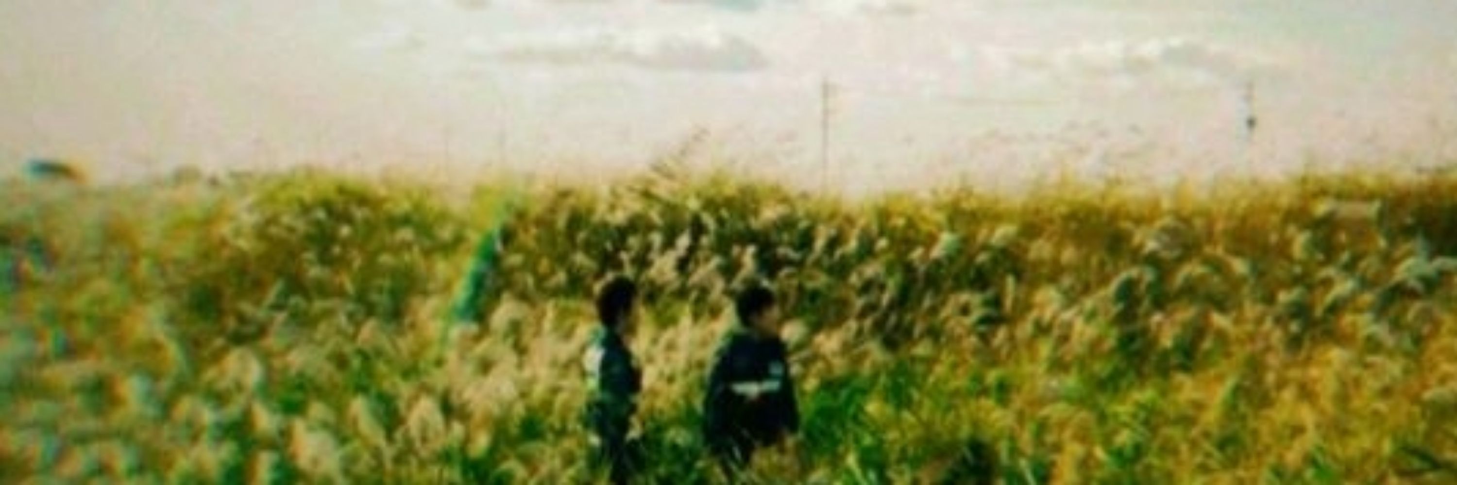 ᥲrᥱk іᥲᥒ ▽